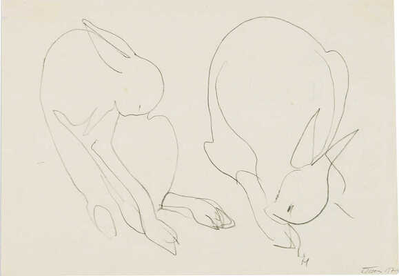 Шишмарёва Татьяна Владимировна. Кролики